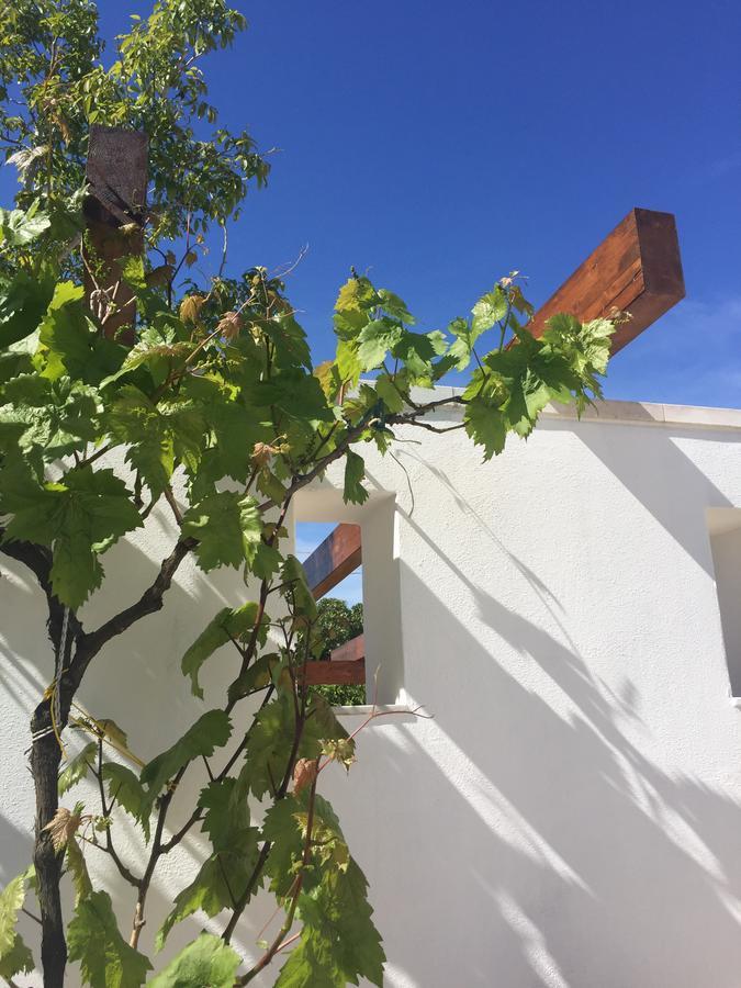 Casolare Di Pozzomasiello Locorotondo Exterior foto
